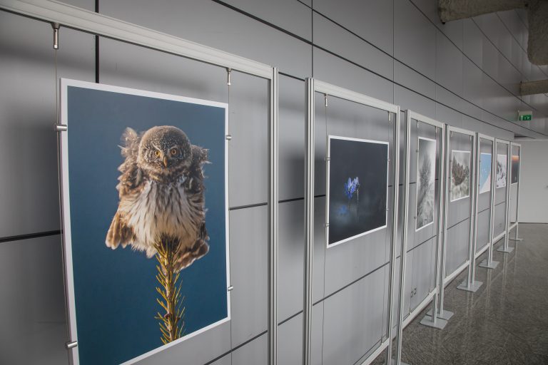 allestimento mostra fotografica
