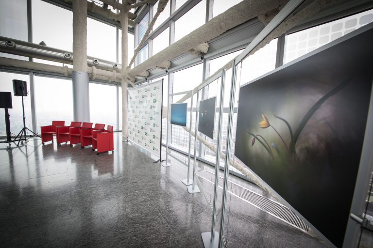 allestimento mostra fotografica