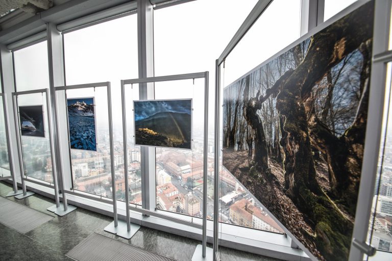 allestimento mostra fotografica